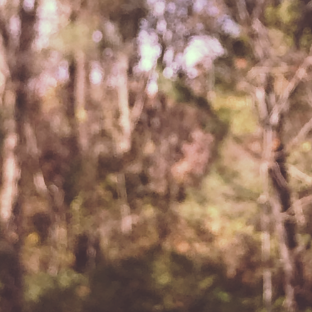 wish i was (Starboom Bootleg)