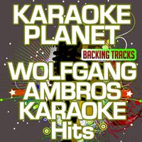 Wolfgang Ambros Karaoke Hits