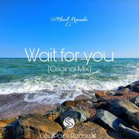 Wait For You (Original Mix)