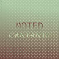 Moted Cantante