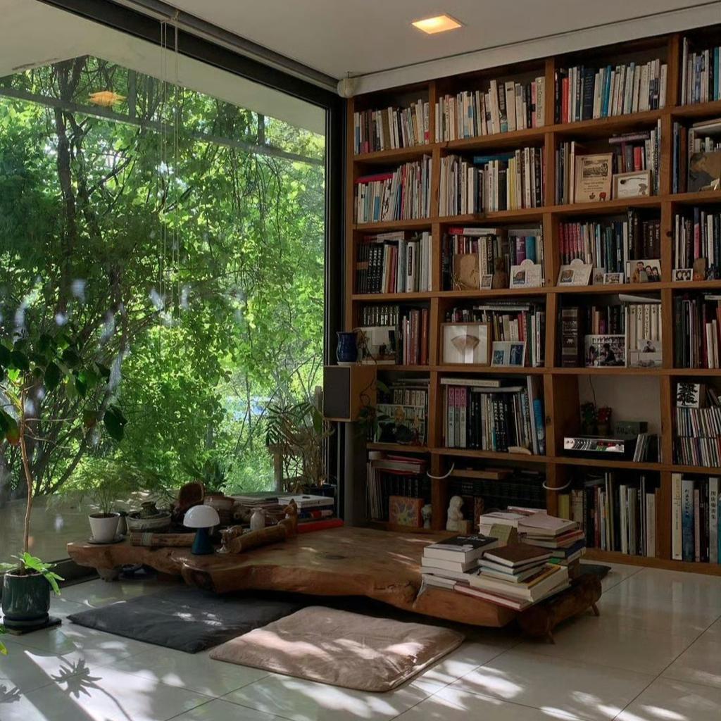 Lonely Time | 松弛治愈 看书 独处放空时刻