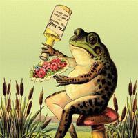 Frog Bouquet: Covers from Our Space