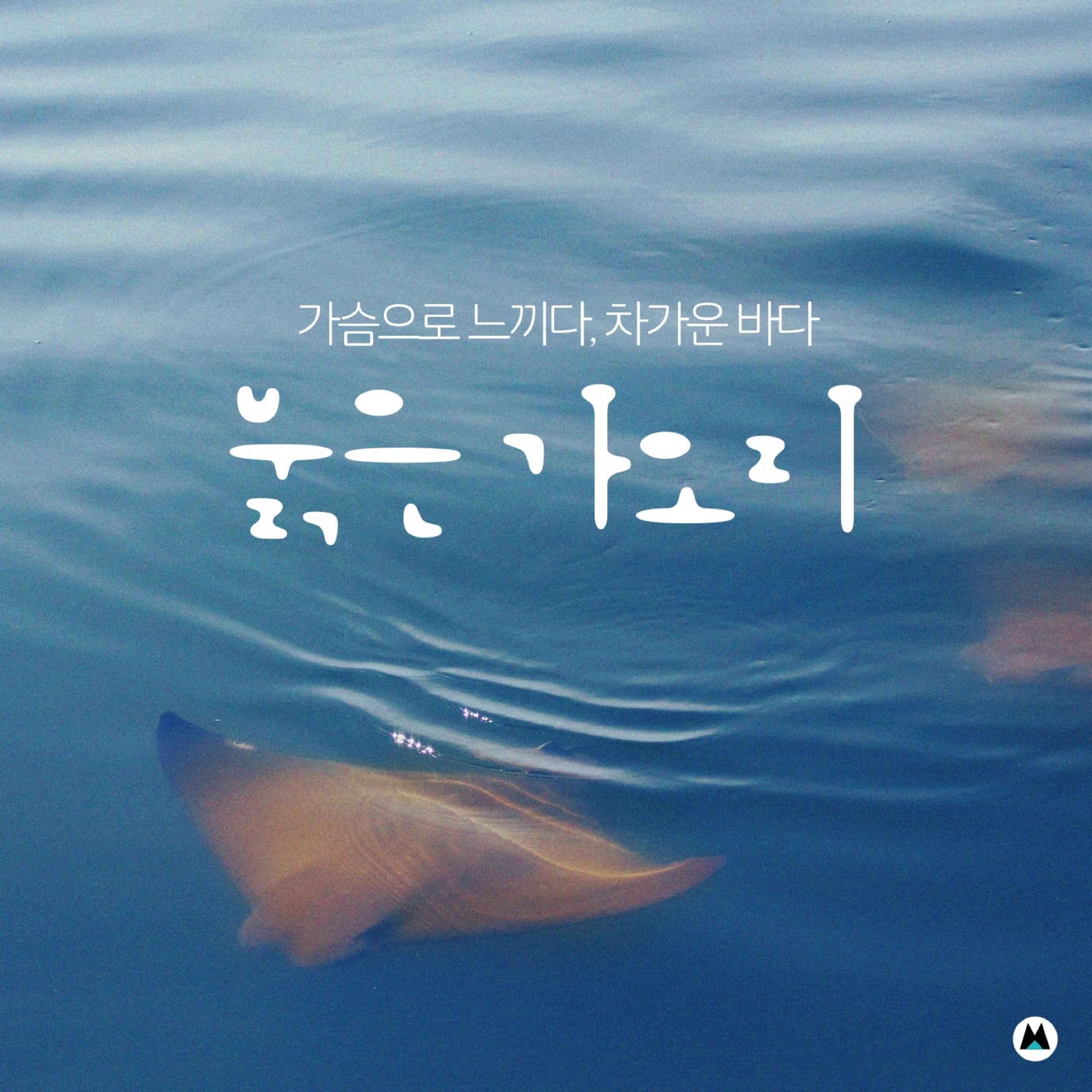 바다 사탕封面