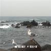 风雨皆自扛