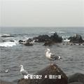 天黑动手进行曲
