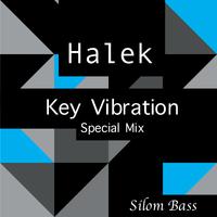 Key Vibration (Special Mix)