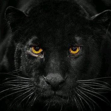 暗黑系电子|重低音*横扫全场