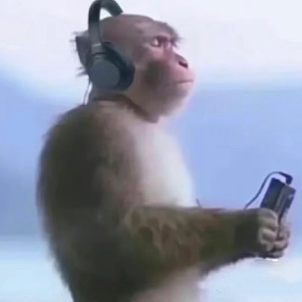 小黑电台5.0｜如听仙乐耳暂明