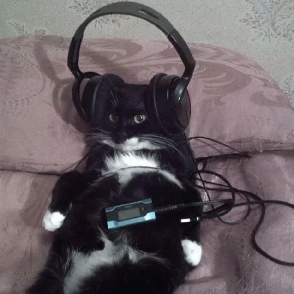 随机昵称真随机