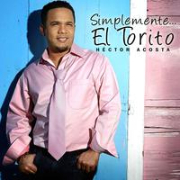 Simplemente... El Torito