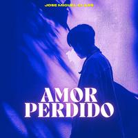 Amor Perdido