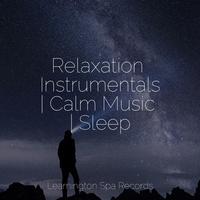 Relaxation Instrumentals | Calm Music | Sleep