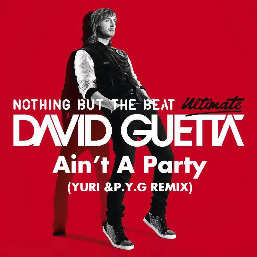 David Guetta - Ain't A Party (Yuri & P.Y.G Remix)