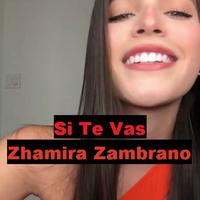 Si Te Vas