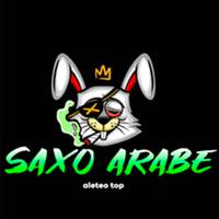 Saxo Arabe