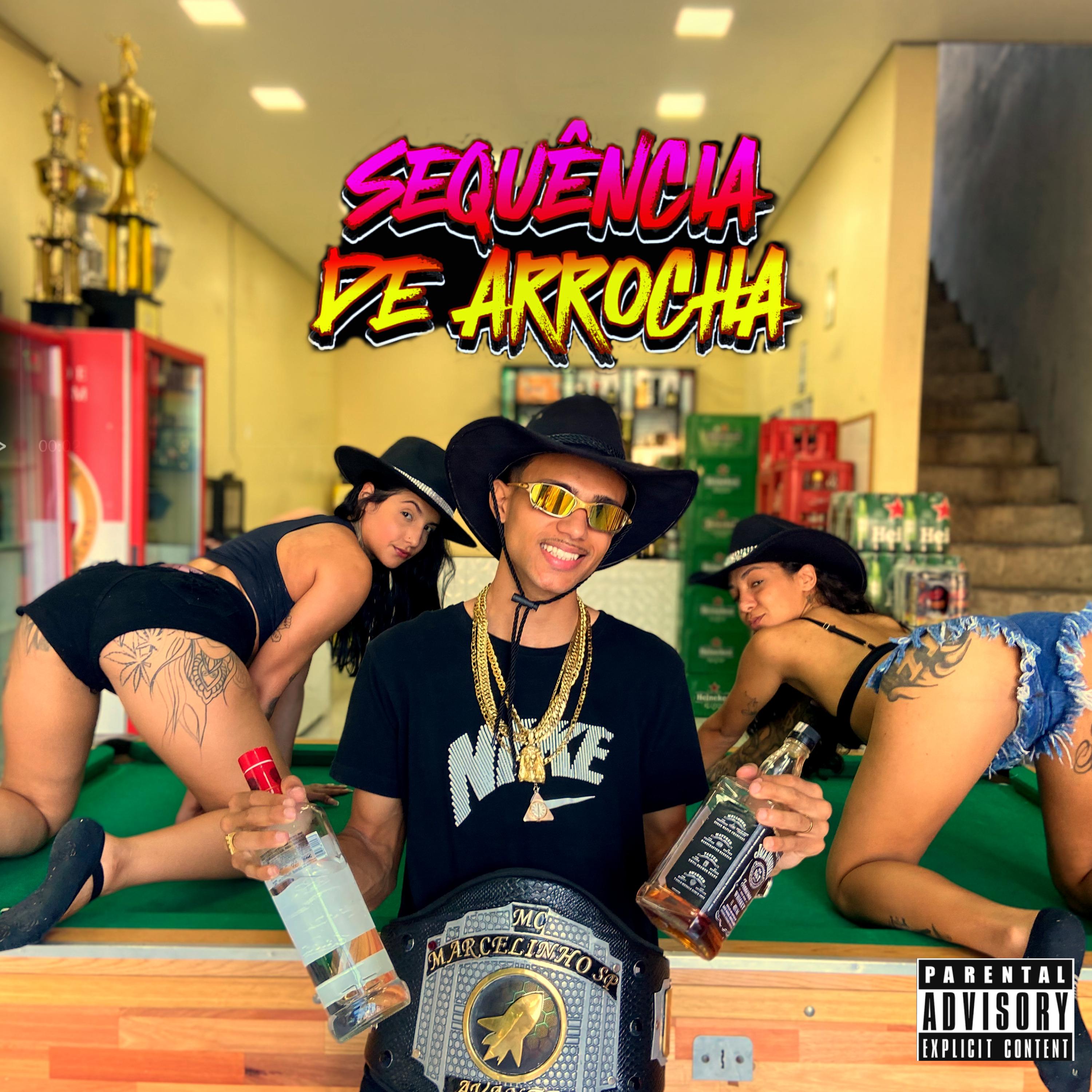 Sequência de Arrocha