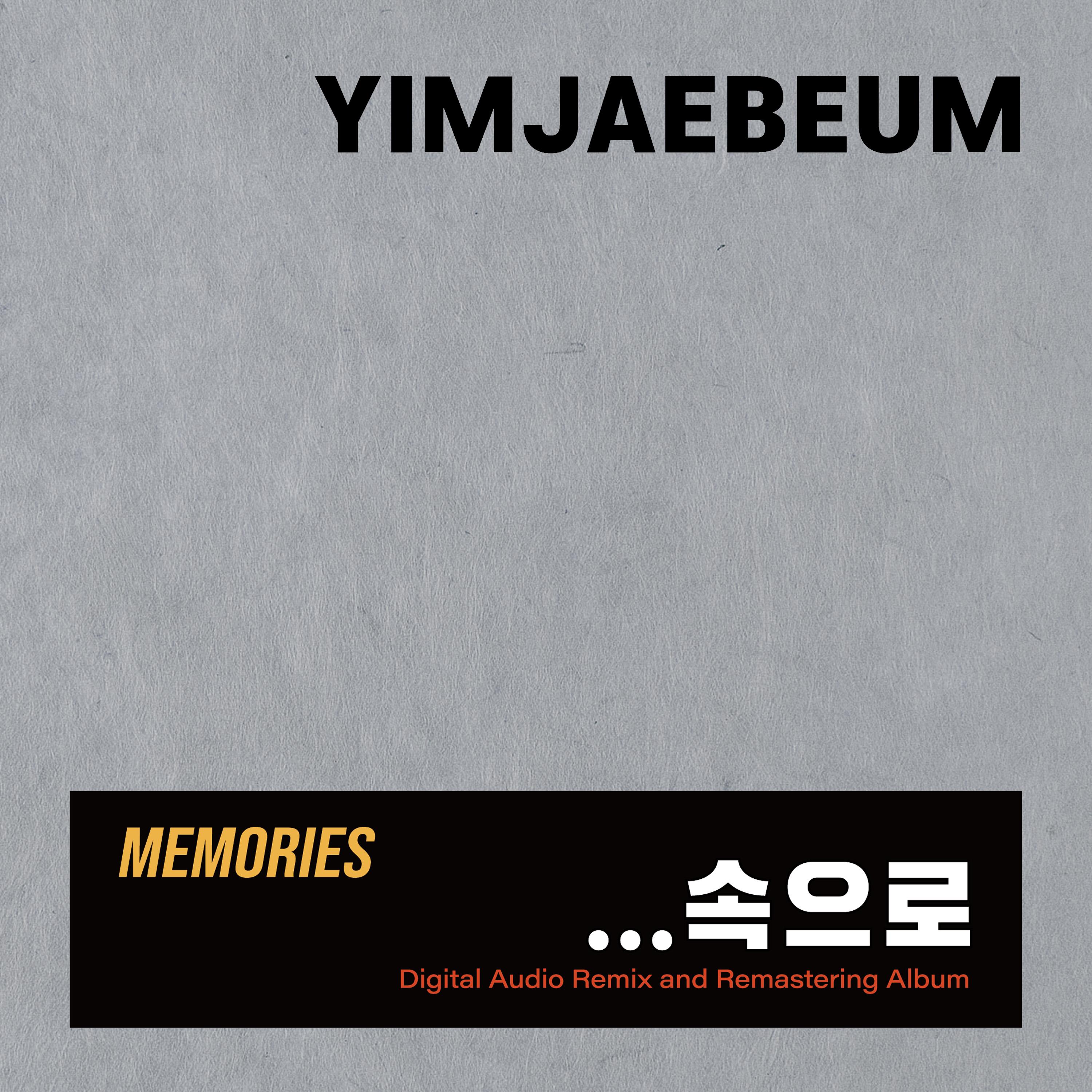 任宰范 ·《Memories…속으로》