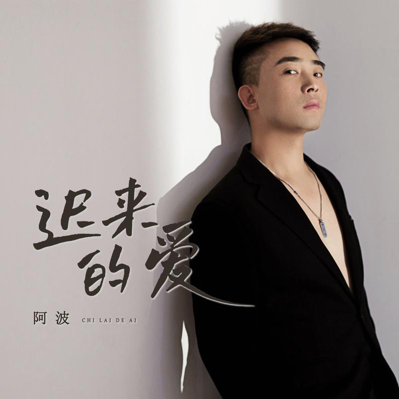 迟来的爱 (阿波版)封面