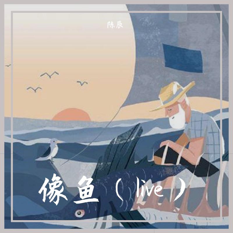 瞬间的永恒-（live）（翻自 赵海洋）