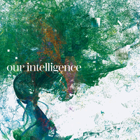 our intelligence