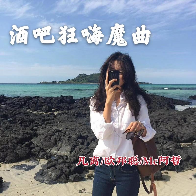一听就爱上了完美之作 (DJ版) - 凡离、阿哲、李豪封面
