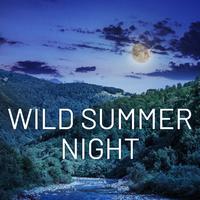 Wild Summer Night