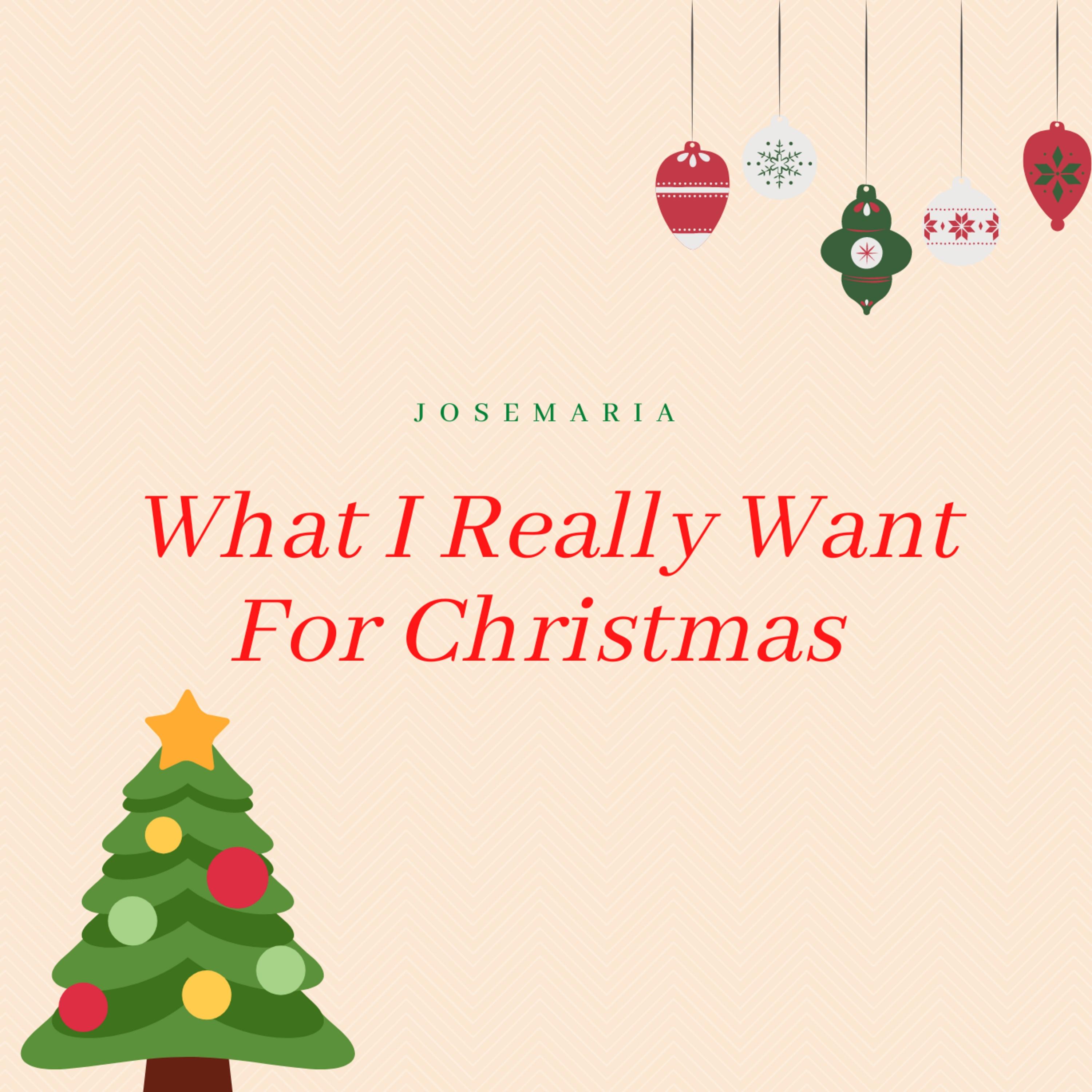 What I Really Want for Christmas