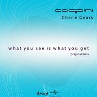 What You See Is What You Get (Original Mix)