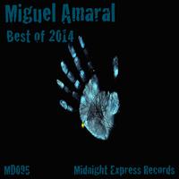 Miguel Amaral - Best of 2014