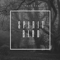 Spirit Bird