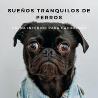 Sueños Tranquilos De Perros: Calma Interior Para Cachorros