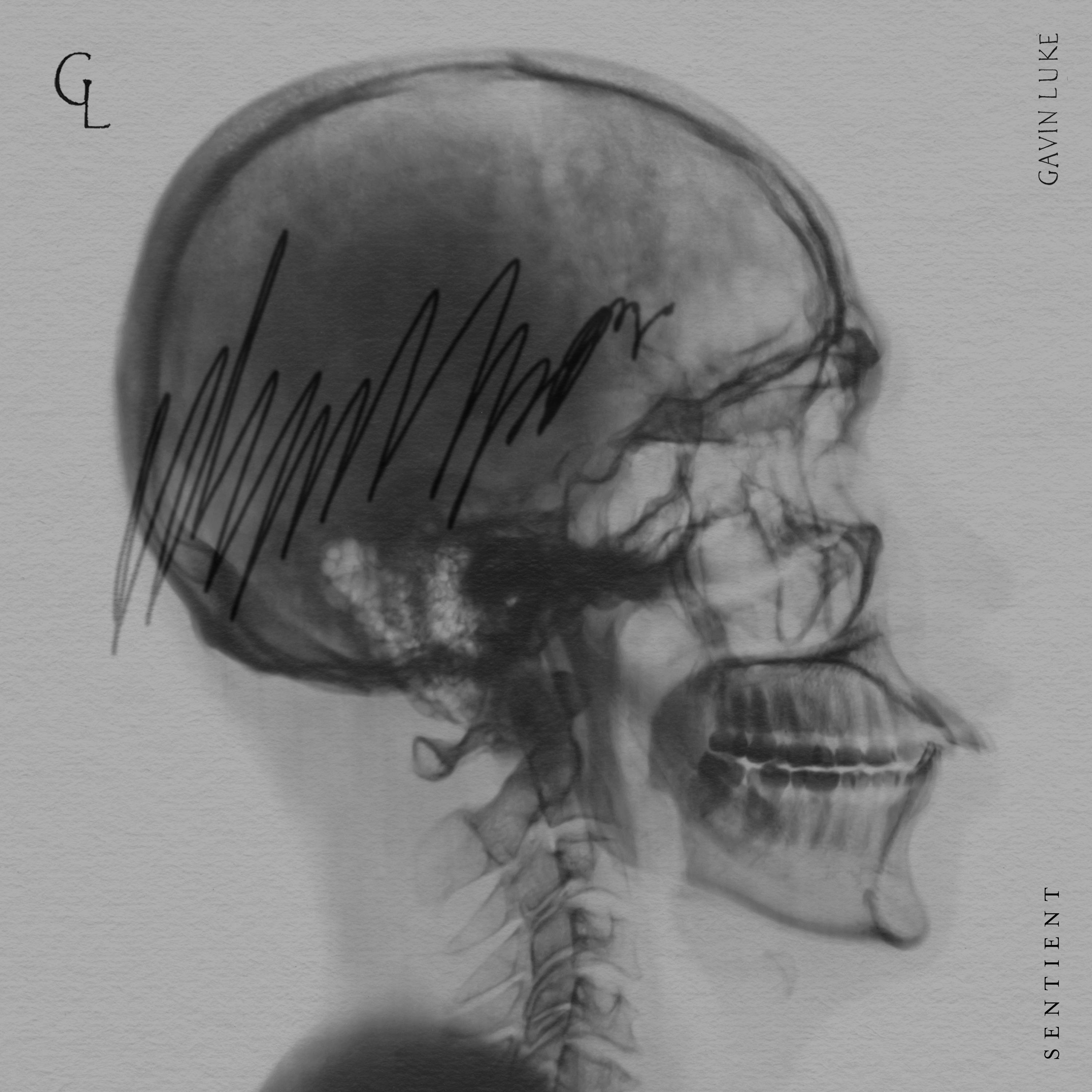 Gavin Luke 纯音适合背景