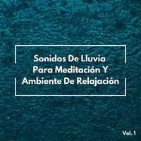 Sonidos De Lluvia Para Meditación Y Ambiente De Relajación Vol. 1