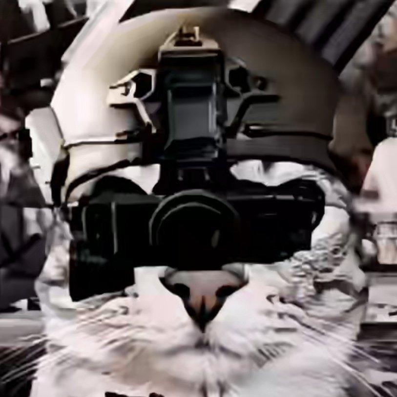 爱听冯克的暗蛆