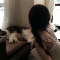 林紫云