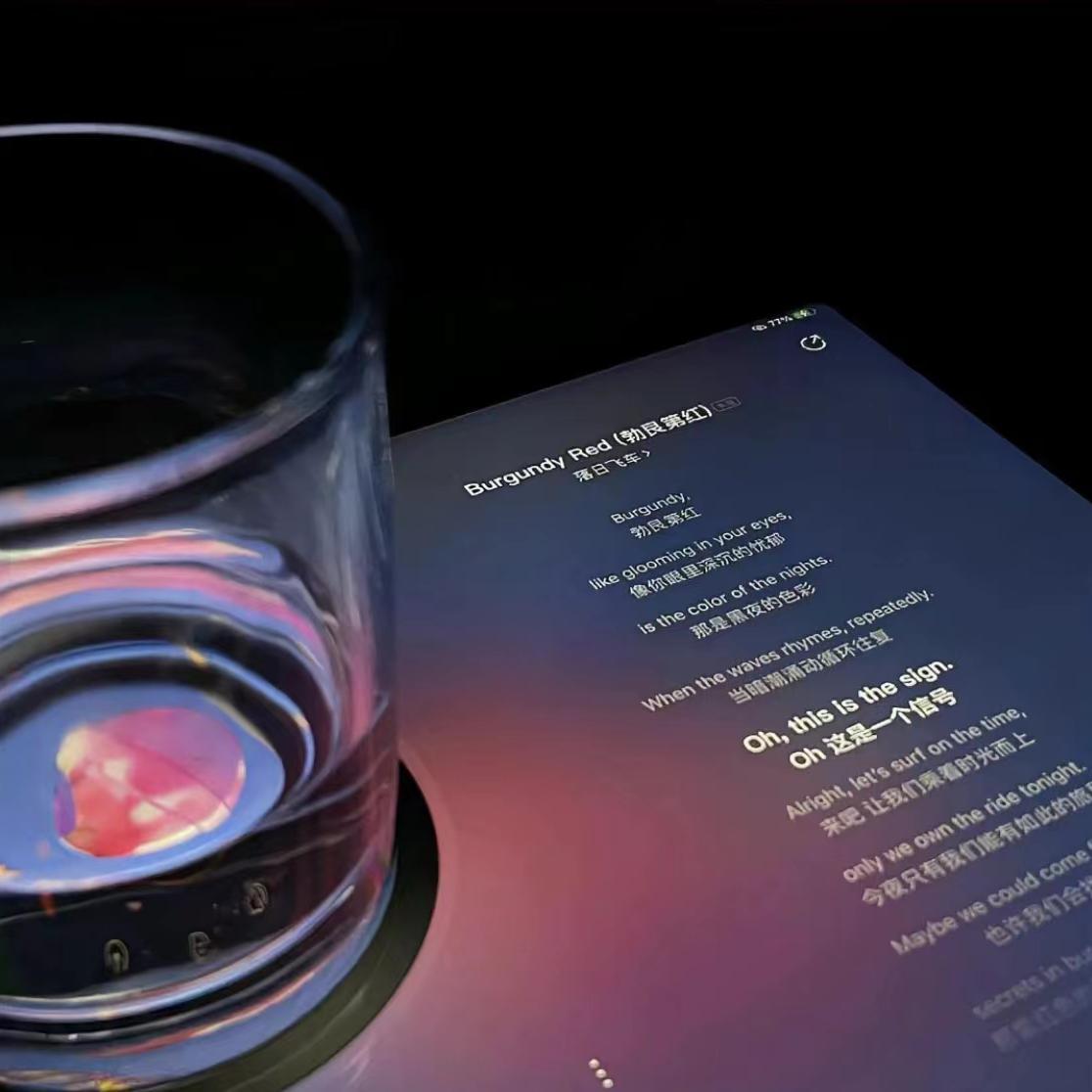 永不失联的爱（片段）封面