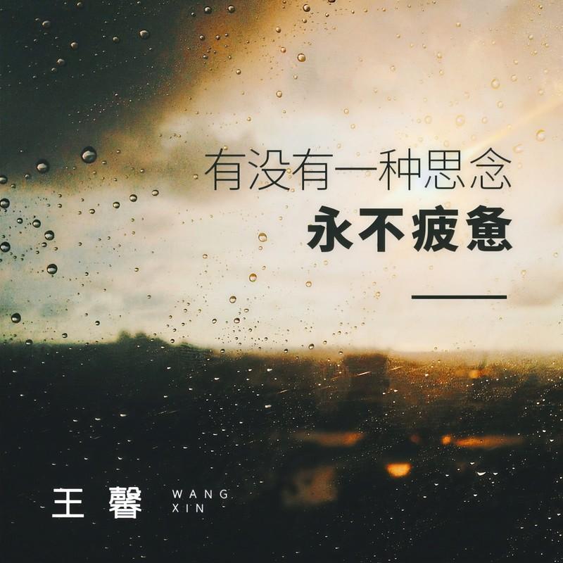 有没有一种思念永不疲惫封面