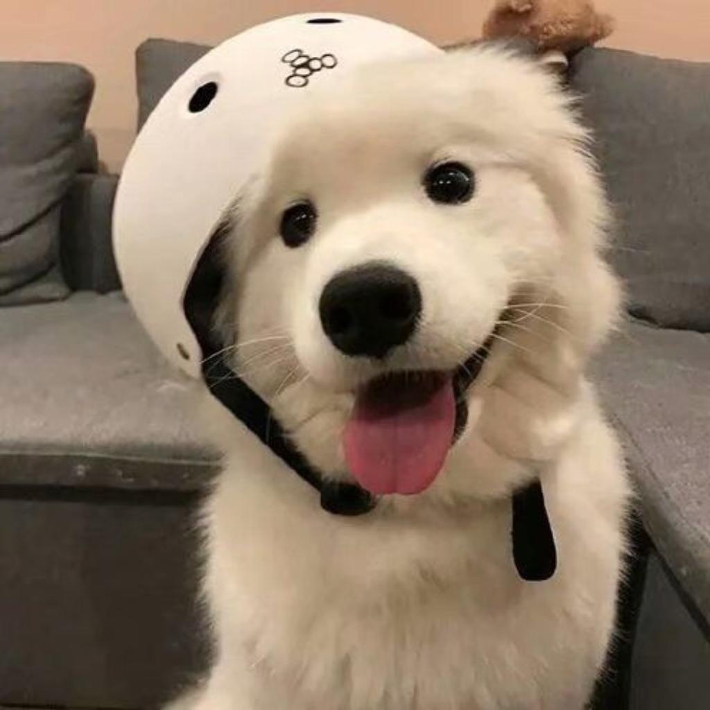 酷酷的男生听酷酷的rap