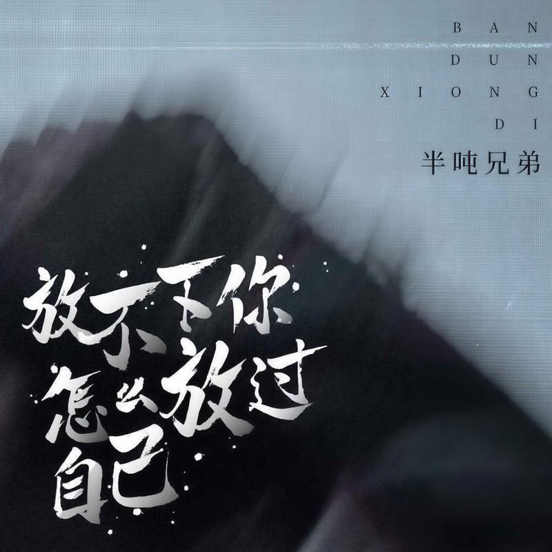 放不下你怎么放过自己 (DJ默涵版伴奏)封面