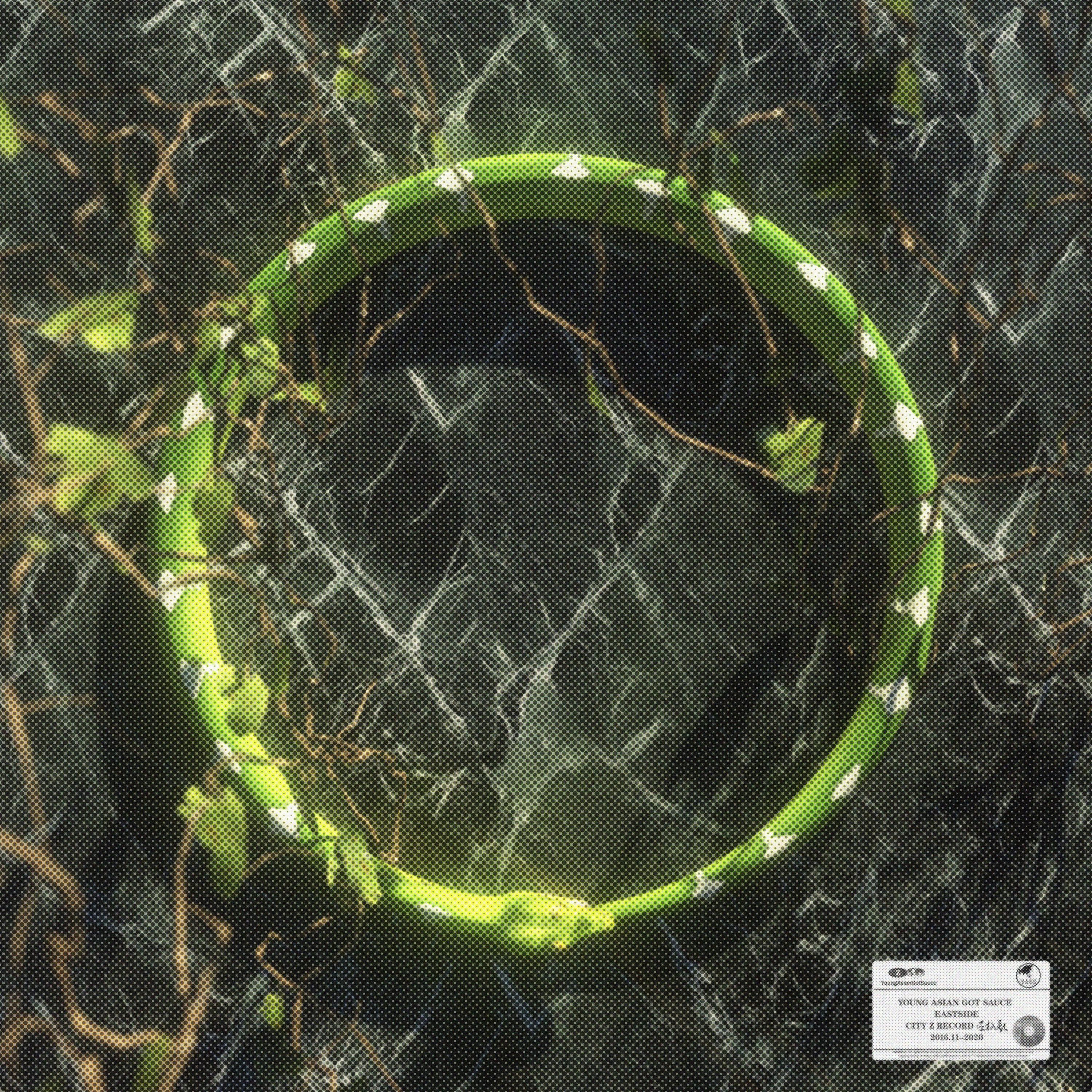 轮回转 around and around