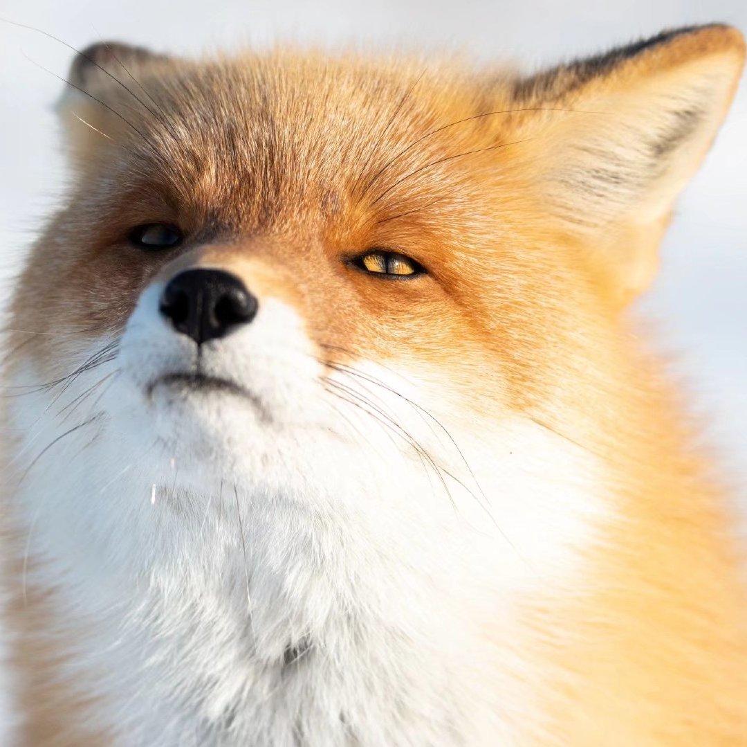 运动健身 || 格调拉满 弯道加速 重拳沙袋！