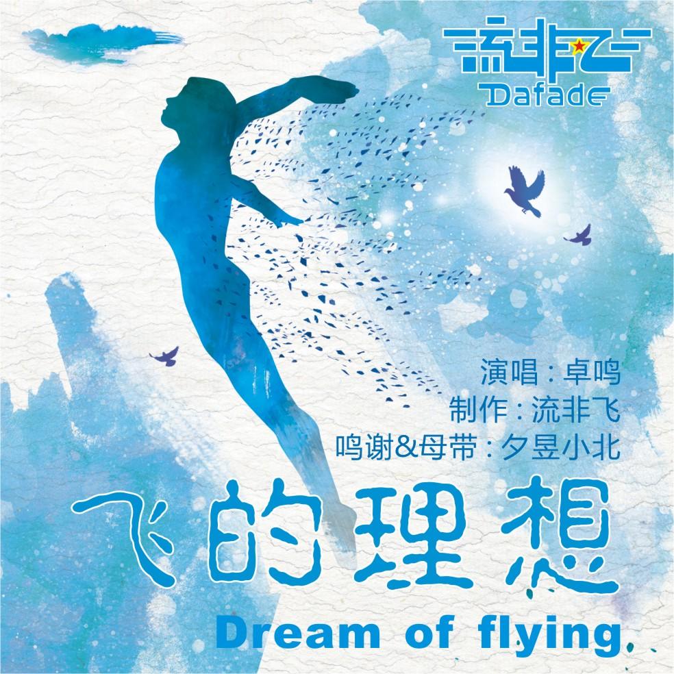 飞的理想封面