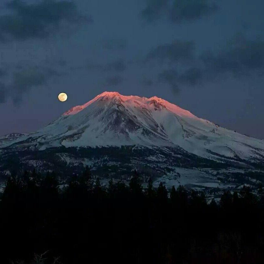 Arne.【全版本】