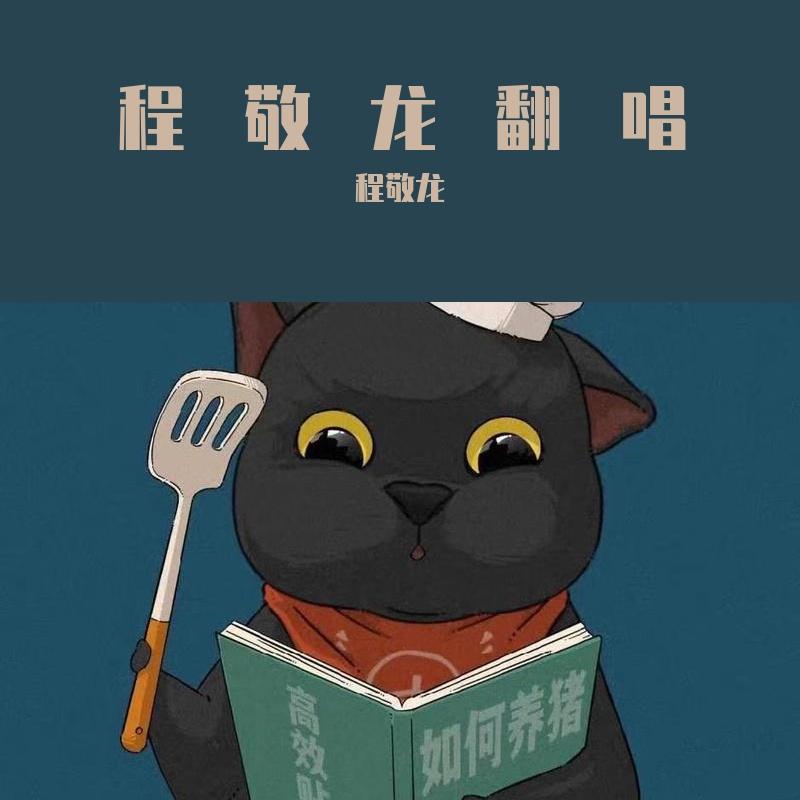 来过你生命得我封面
