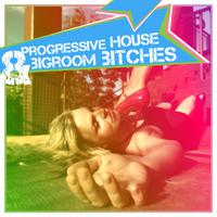 Progressive House & Bigroom *****es