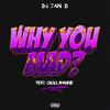DJ Zan-D - Why You Mad?