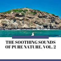 The Soothing Sounds of Pure Nature, Vol. 2