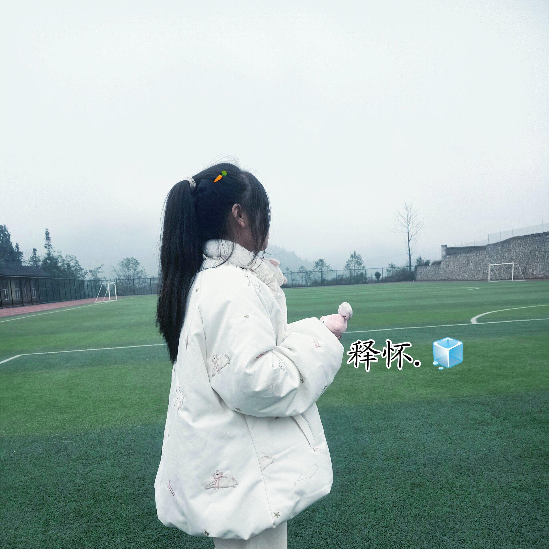 也许我词不达意，但我很开心遇见你封面