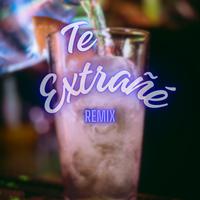 Te Extrañé (Remix)