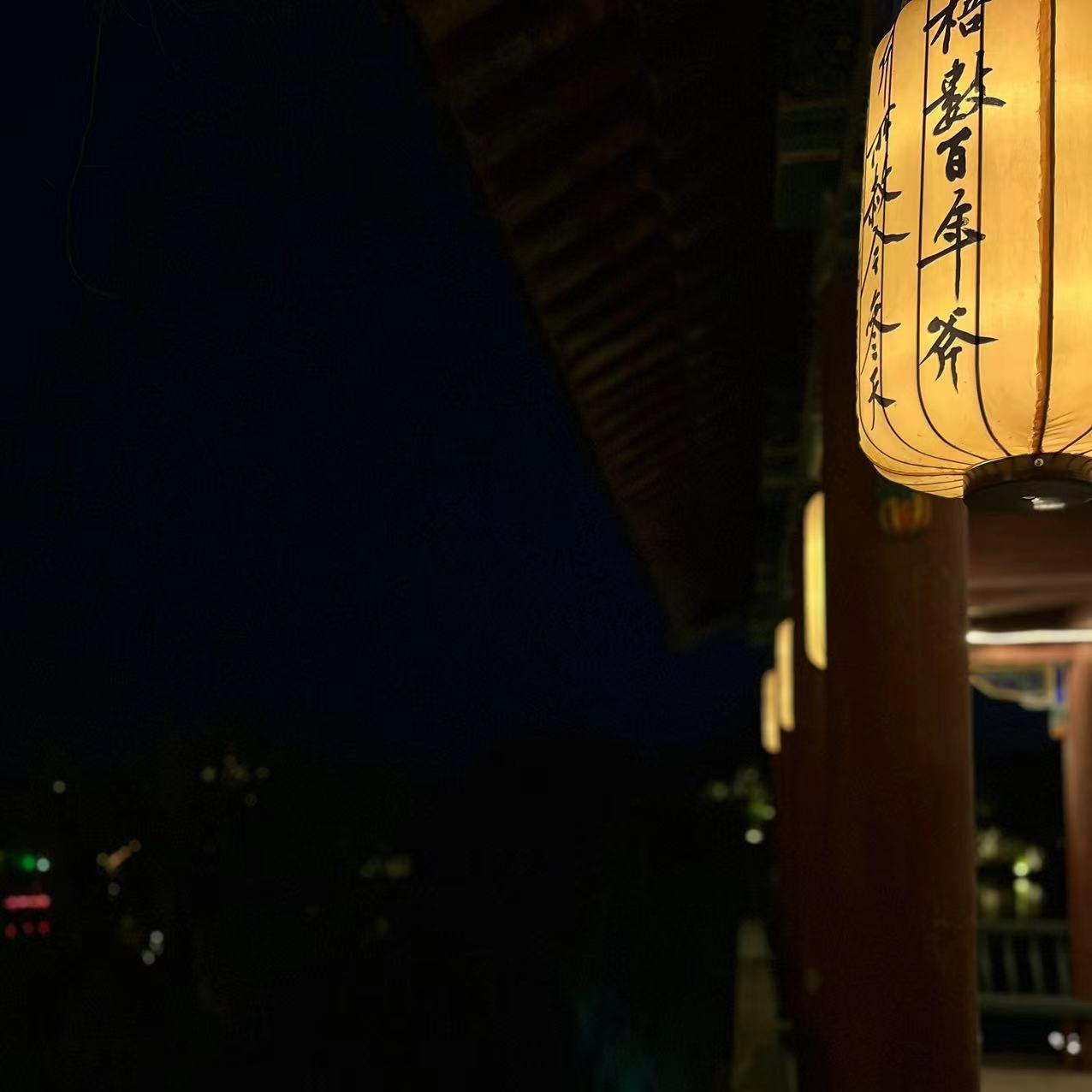 南山忆封面